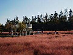 -嘉北郊野公园