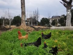 -杭州六谷生态休闲农庄有限公司