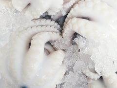 -铭聚章鱼土笋冻(松柏店)