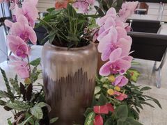 -上海农商银行(大华分理处)