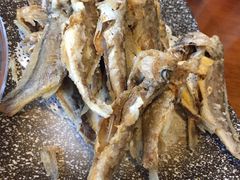 -第二外国语学院-韩国餐厅(朝阳路店)