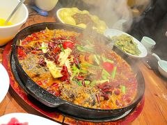 -老板恋上鱼(高新万达店)