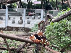 -柳州市动物园