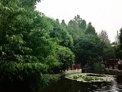 -北京市师达中学