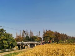 -嘉北郊野公园