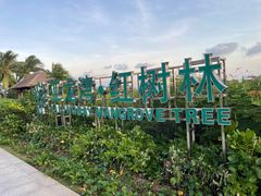 -三亚亚龙湾红树林度假酒店
