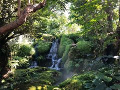 -Chom Cafe and Restaurant