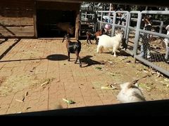 -长白岛森林公园