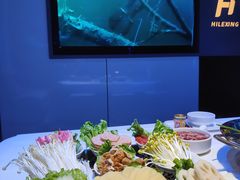 -海乐星KTV(航空路店)