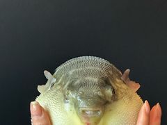 -永安鱼庄·镇江菜(东吴路店)