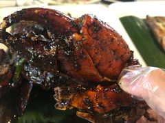 -纽顿熟食中心