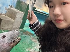 -嘉兴海底世界