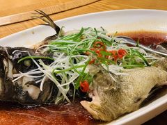 清蒸石斑鱼-新海渔港·胶东海鲜家常菜·家宴(奥体中心店)