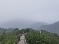 -大岭沟猕猴桃谷风景区