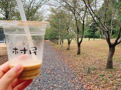 -良渚文化村