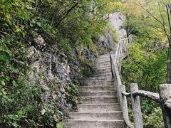 -秦岭天竺山景区