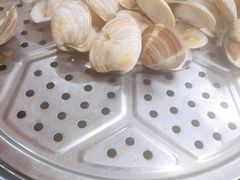 花蛤-蔚海之都·象山蒸汽海鲜(仙霞路店)