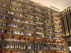 -深影国际影城(学院南路店CGS中国巨幕店)