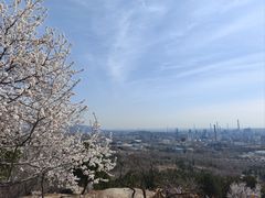 -白水寺森林公园
