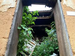 -杨家堂村
