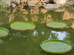 -莲池书院博物馆