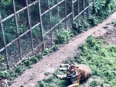 -哈尔滨北方森林动物园