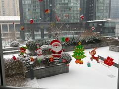 -精德口腔·种植修复·儿牙中心(财富中心店)