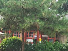 -中卫御苑福膳·养生局(圆明园店)