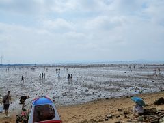 -仙人岛风景区
