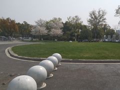 -长田漾湿地公园