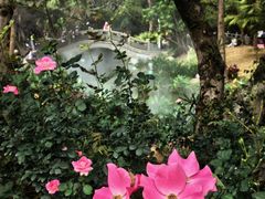 -人民公园(罗湖区)