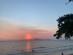-卷心菜和避孕套餐厅(Pattaya)