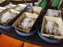 -斯普汇生蚝牛排馆(中骏世界城店)