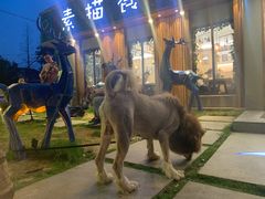 -外婆船宴餐厅·外婆喊你回家吃饭