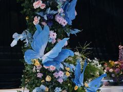 -星尚嫁日(红星国际广场店)