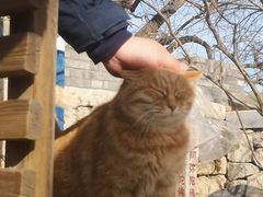 -北京凤凰岭