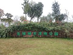 -眉山湿地公园(东坡区)