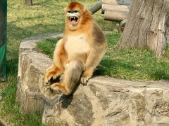 -西安秦岭野生动物园