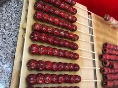 -和禄德冰糖葫芦