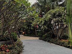 -厦门日月谷温泉渡假村