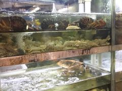 -桥东喜碧海鲜街(水东街店)