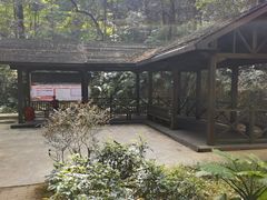 -广州市帽峰山景区