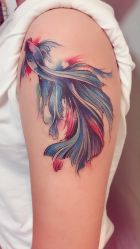 -长沙纹身·龙堂刺青·三土师傅的店