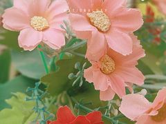 -北京国际鲜花港