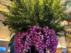 -深圳威尼斯英迪格酒店-邻芙花廊下午茶·NINFA GALLERY·蛋糕·咖啡