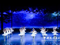 -中央芭蕾舞团·中芭艺蕾(酒仙桥明星校区)