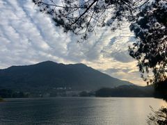 -广州市流溪河国家森林公园