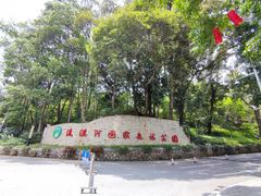 -广州市流溪河国家森林公园