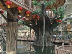 -南宫五洲植物乐园