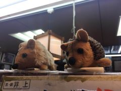 -莫山小馆(大石桥店)